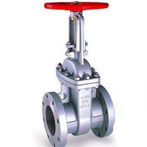 Stainless Steel Gatevalve flange type